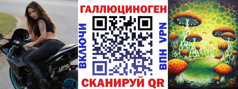Псилоцибиновые грибы прущие грибы  где найти наркотики  Сретенск 